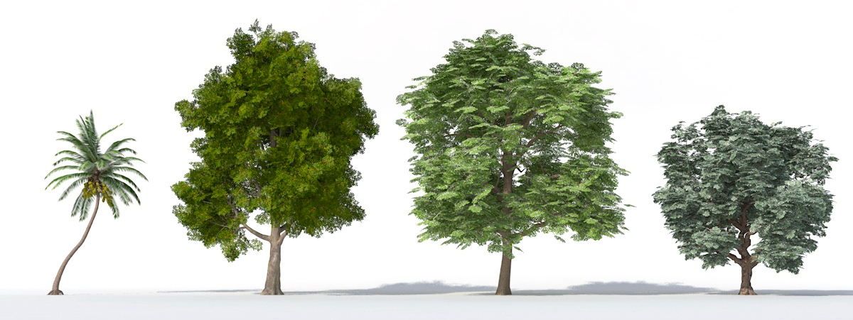 Archiradar trees collection 21